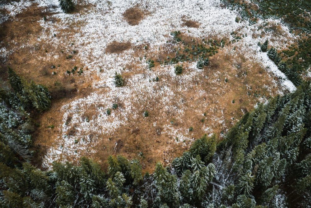 DJI_0282